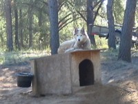 Camilla surveys her digging handiwork