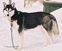 Hilda in AK 2004