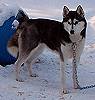 Hilda in AK 2005