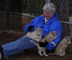 Karen's mom with Olena pups