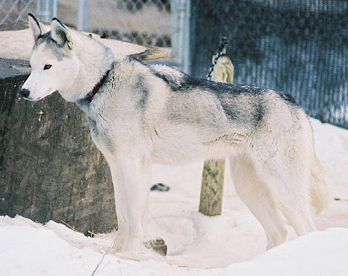 Nahanni