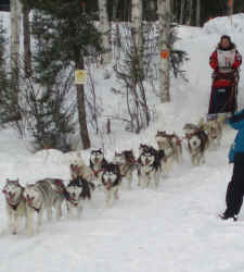 2006 Restart - On to Long Lake by Julie Verrett