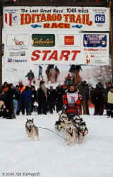 2006 Iditarod Restart by Jan DeNapoli