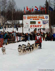 2006 Iditarod Restart by Jan DeNapoli