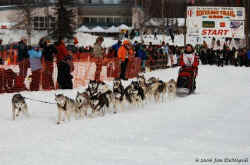 2006 Iditarod Restart by Jan DeNapoli