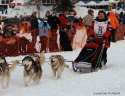 2006 Iditarod Restart by Jan DeNapoli