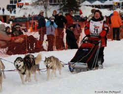 2006 Iditarod Restart by Jan DeNapoli