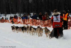 2006 Iditarod Restart by Jan DeNapoli