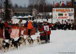 2006 Iditarod Restart by Jan DeNapoli