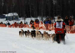 2006 Iditarod Restart by Jan DeNapoli