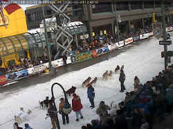 Fur Rondy Camera - Iditarod 2006